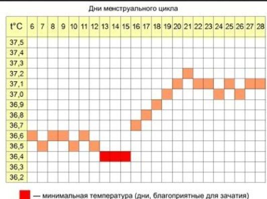 Овуляция, как помощник на пути к беременности ~ Рождение для двоих